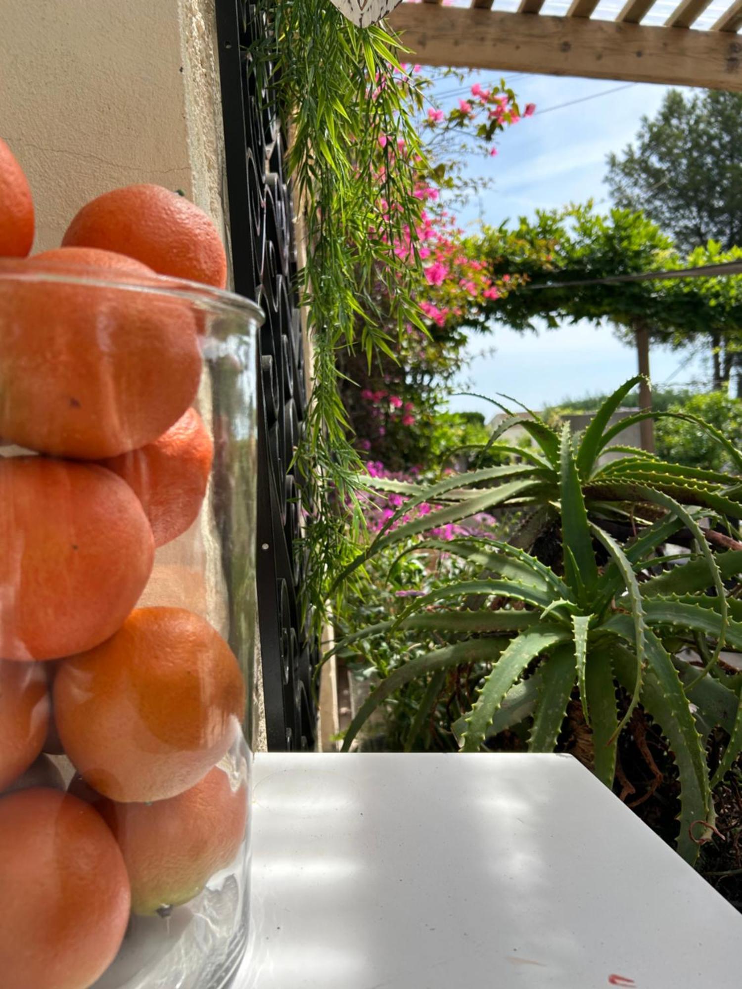 Provencale Hotel 2*