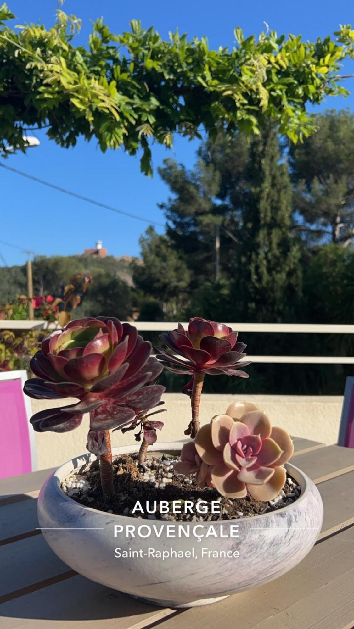 Hotel Provencale Saint-Raphael (Var)